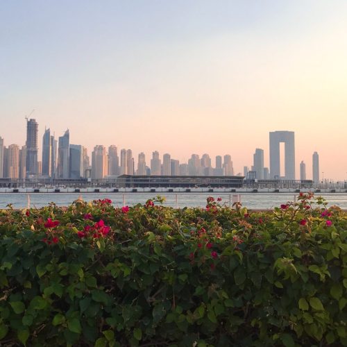 pexels-dmitri-tarelkin-6935057