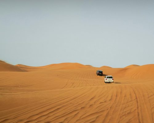 pexels-kadiravsarr-14750502