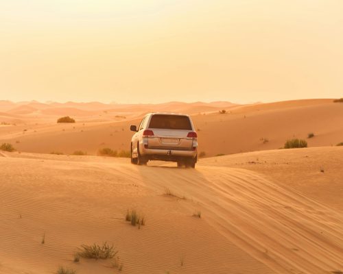 pexels-sergo-karakozov-995851-3684847